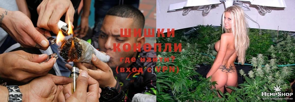 твердый Лиски